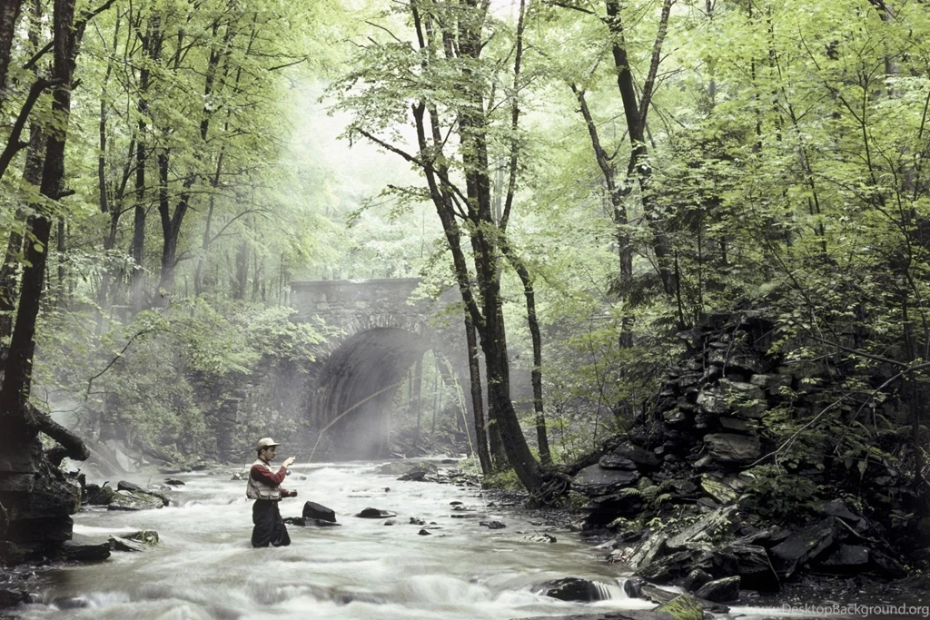 Fishing HD Wallpapers