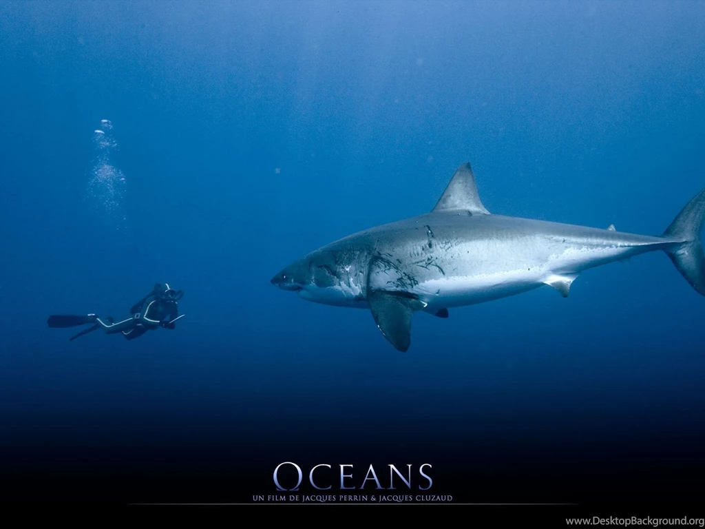 Shark Wallpapers Fantastic 2087 HD Backgrounds