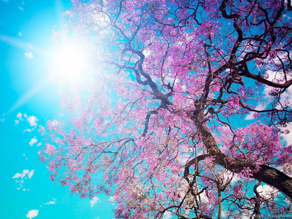1600X1200 Wallpapers 1600x1200px