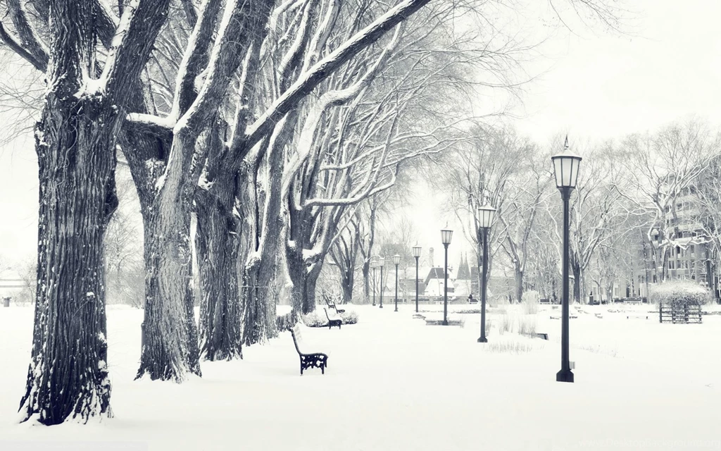 Snow In The Park Wallpapers 28098