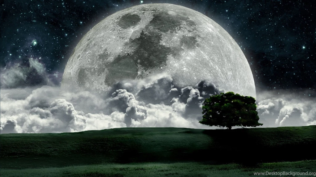 2937) Dark Forest Moon Full HD Wallpapers Attachment WalOps.com