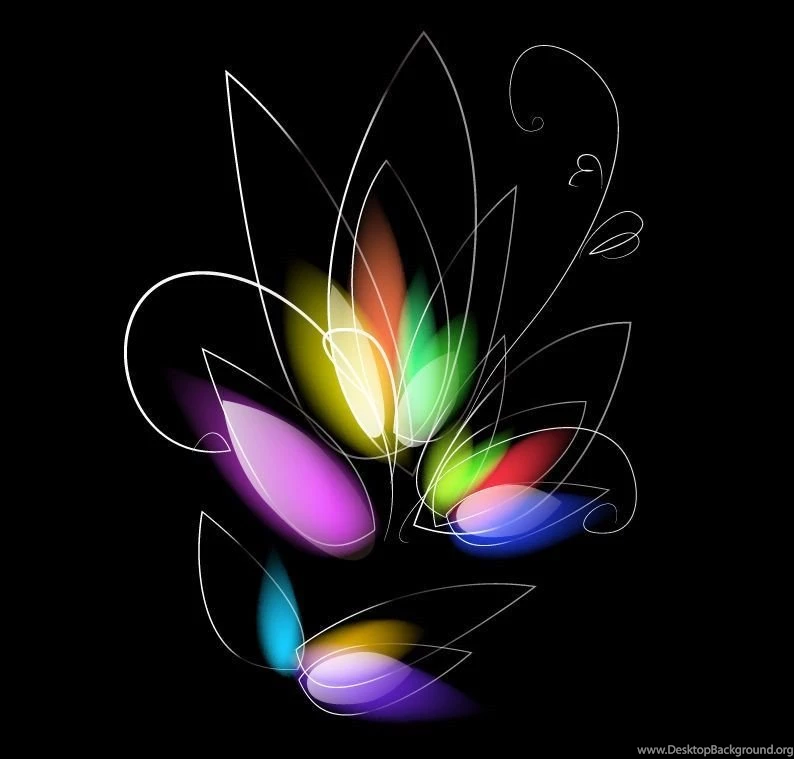Abstract Colorful Floral On Black Backgrounds Vector