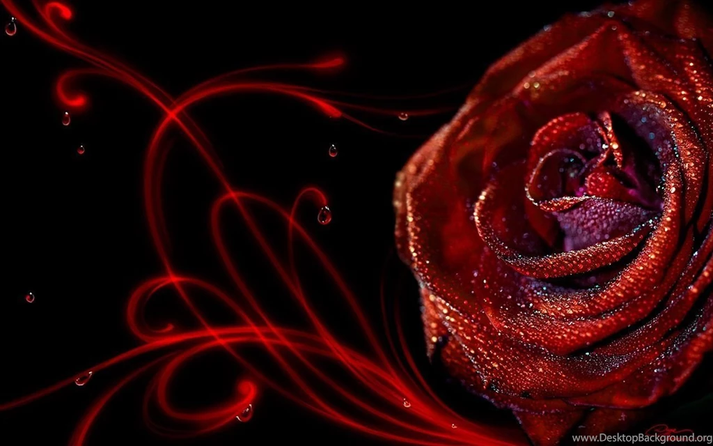 Passion Wallpapers Wallpapers Cave