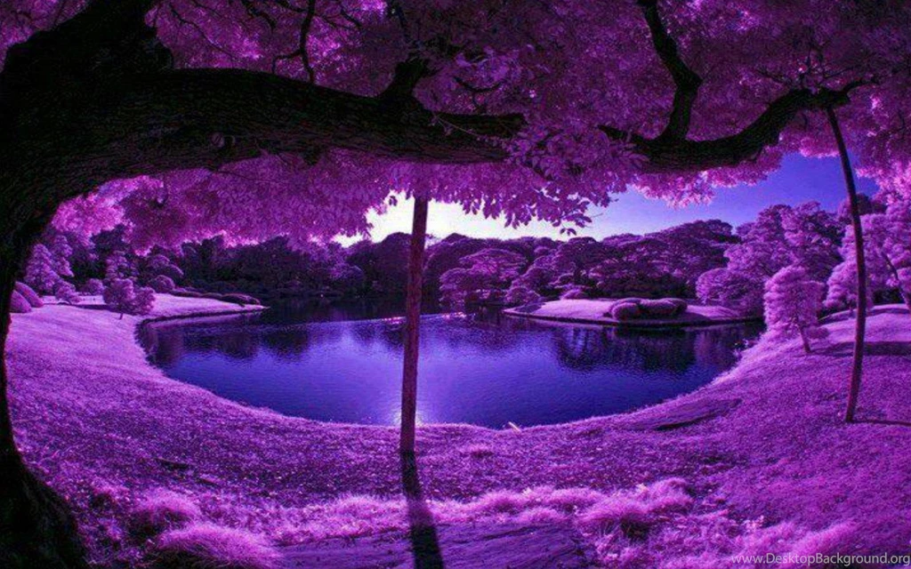 Purple Passion (