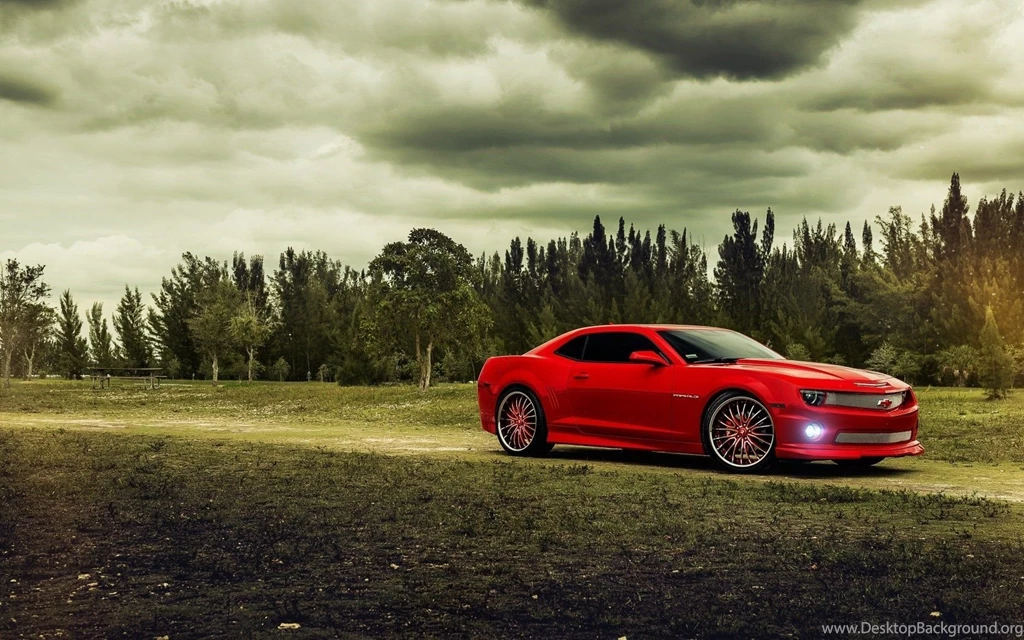 Best Muscle Cars Wallpapers: (1)