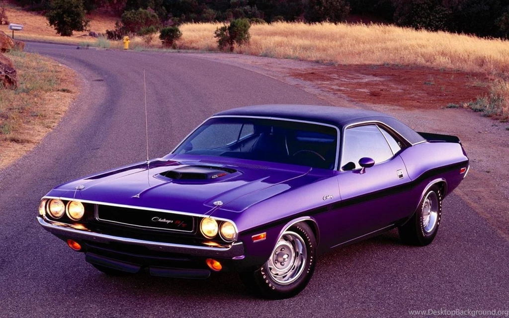 Raw Muscle Car