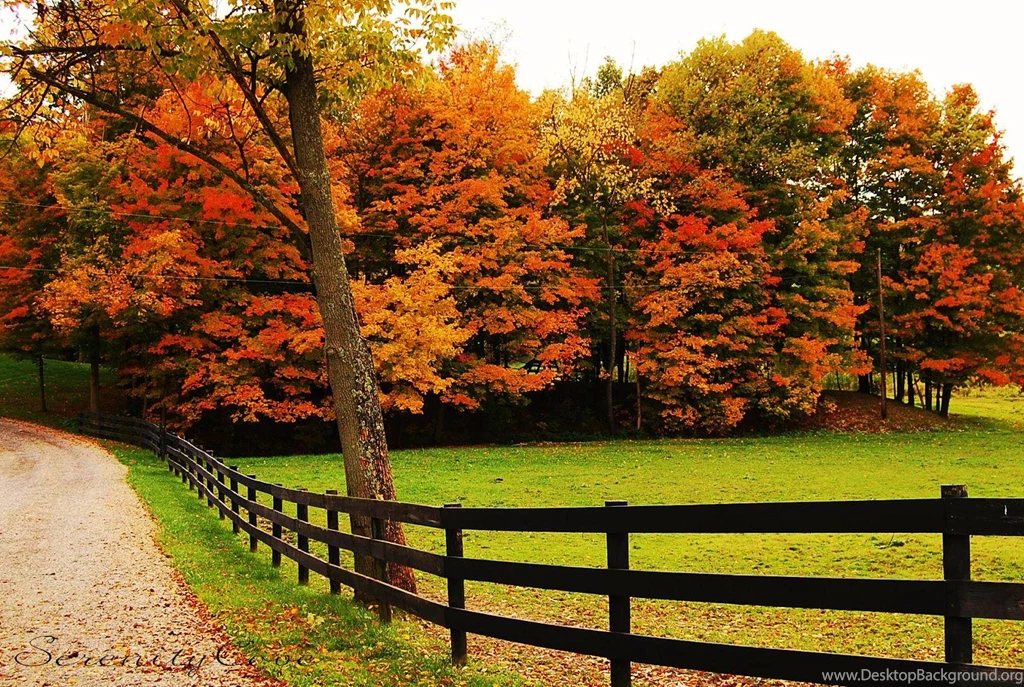 Gallery For   Autumn Hd Wallpapers