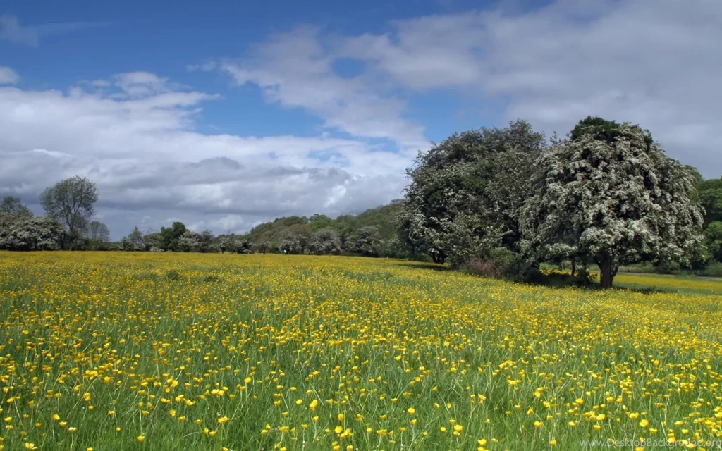 Mat Denan: Landscape Backgrounds Am