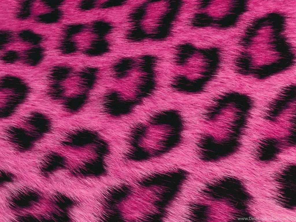Pink Fur Wallpapers Wallpapers HD Fine