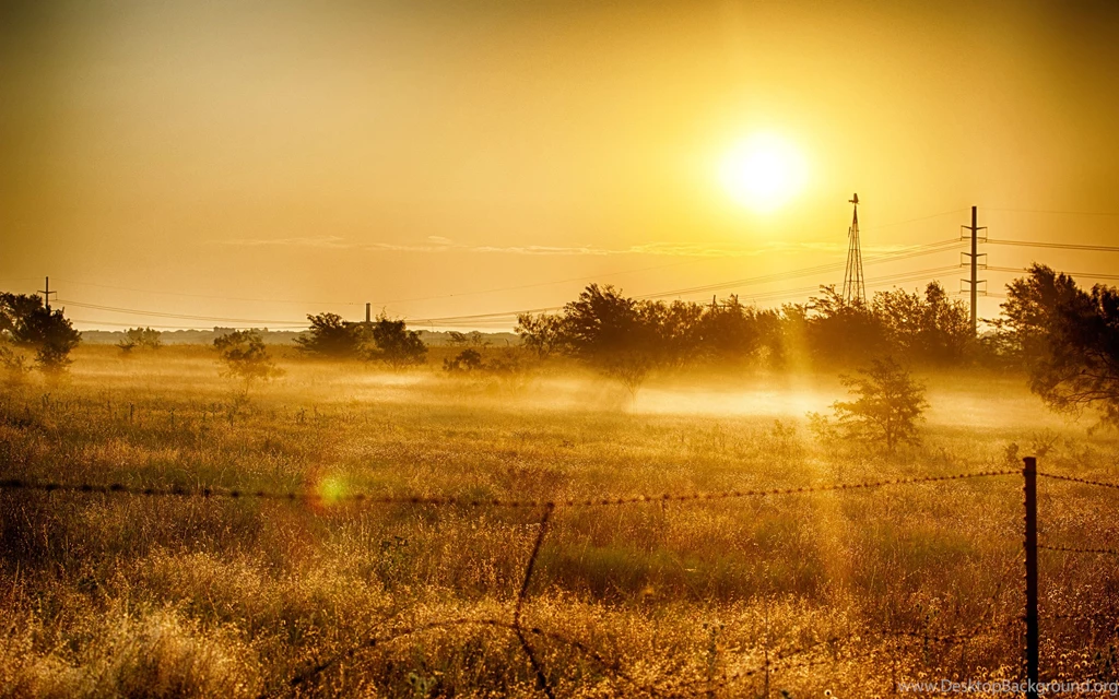 Sunrise Wallpaper HD Dekstop PC.jpg