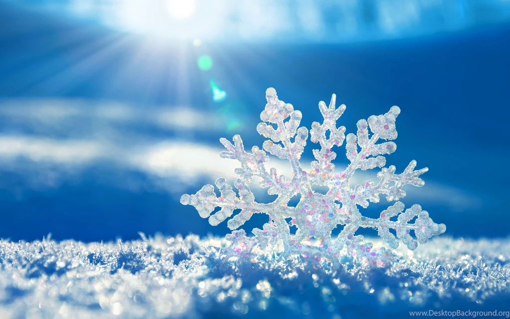 Widescreen Winter Wallpapers In High Resolution
