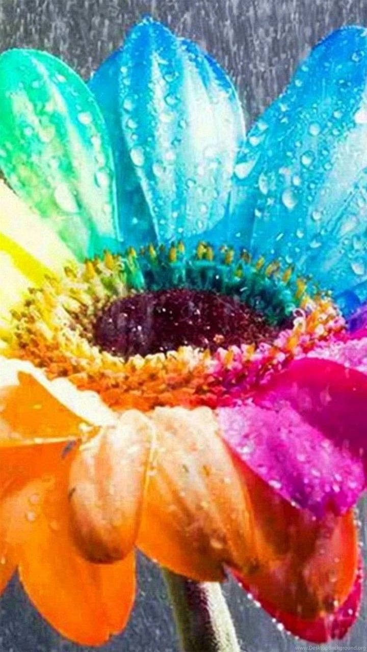 Wallpapers Samsung Galaxy A5 720 1280 Awesome Hi Quality