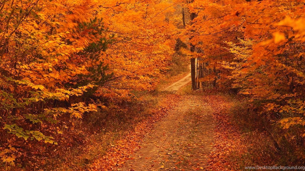 Fall Season Wallpapers Hd