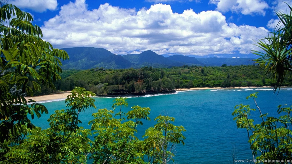 Free Beach Hawaii High Definition Nature Wallp