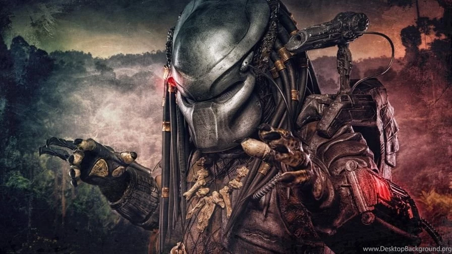 Predator   Wallpapers   HD Wallpapers
