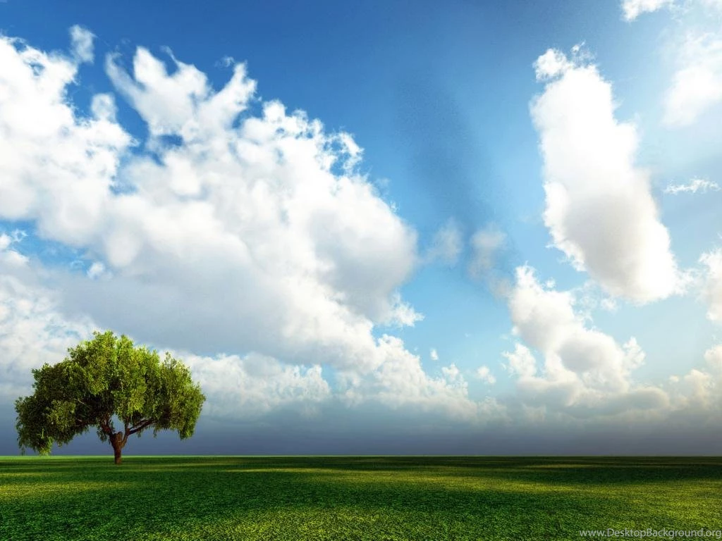 Nature Hd Wallpaper Backgrounds 1024x768 Hd Wallpapers For Desktop