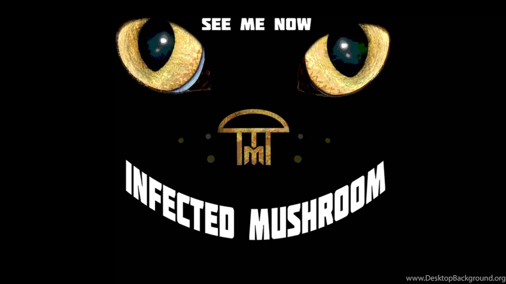 Infected Mushroom   See Me Now [HQ Audio]   YouTube