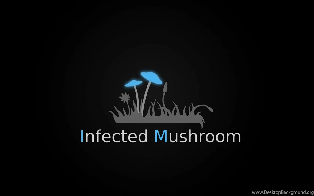 INFECTED MUSHROOM Psychedelic Trance Electro House Electronica ...