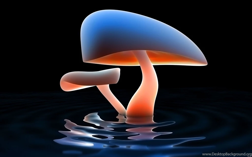 Mushroom Wallpapers 1011950