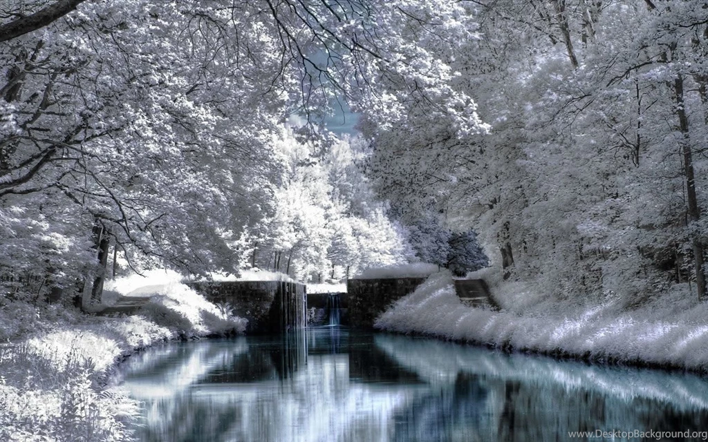 Pictures > Windows Desktop Backgrounds Winter