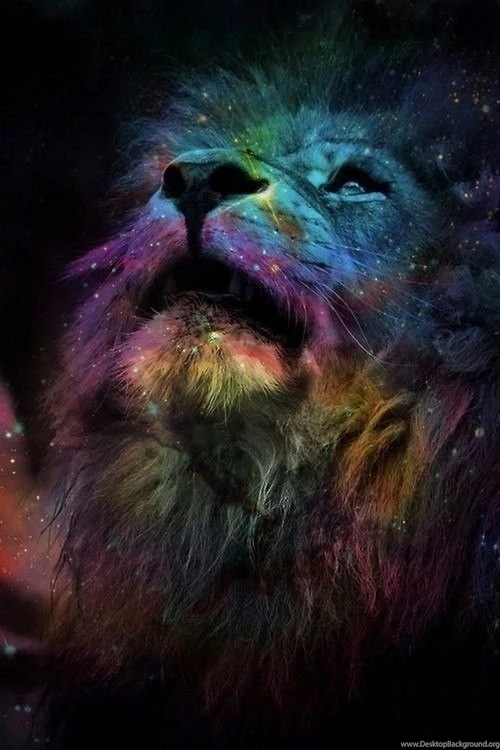 The Galaxy Lion Is My Backgrounds For My Phone, And One Of My ...