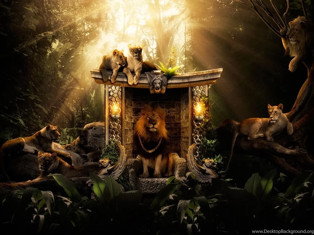 Wallpapers Of Home   HD Wallpapers Lovely