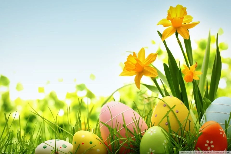 Happy Easter 2014 HD Desktop Wallpapers : High Definition ...