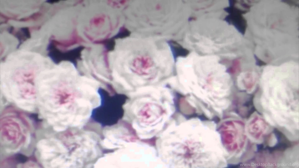 Crystal Castles "TELEPATH" Official YouTube