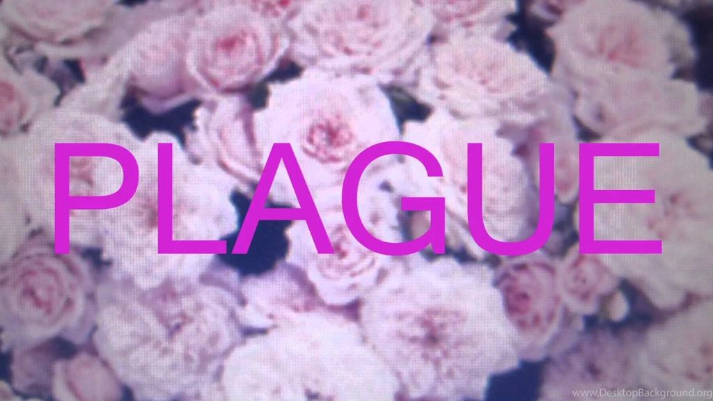 Crystal Castles "PLAGUE" Official YouTube