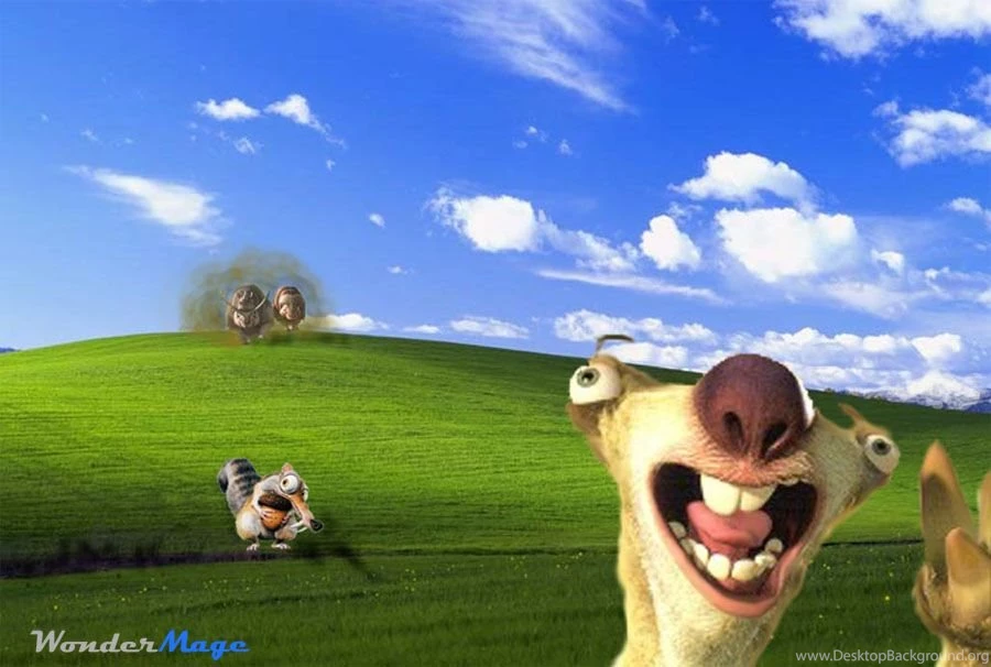 Funny Windows HD Wallpapers HD Wallpapers
