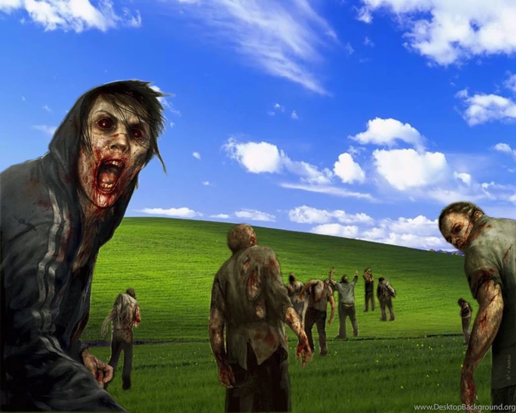 Funny Bliss Windows Wallpapers