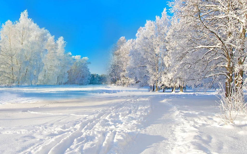 Winter Snow Field Tree Cloud Blue Sky Nature Scenic Highres White ...