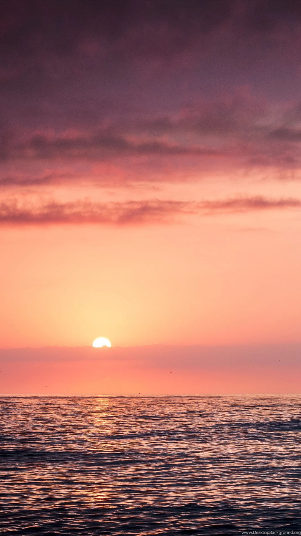 Sunset Sea Beach Sky Red iPhone 6 Wallpapers Download