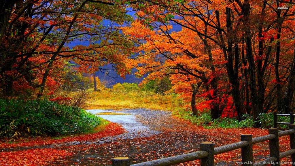 Top HD Desktop Wallpapers