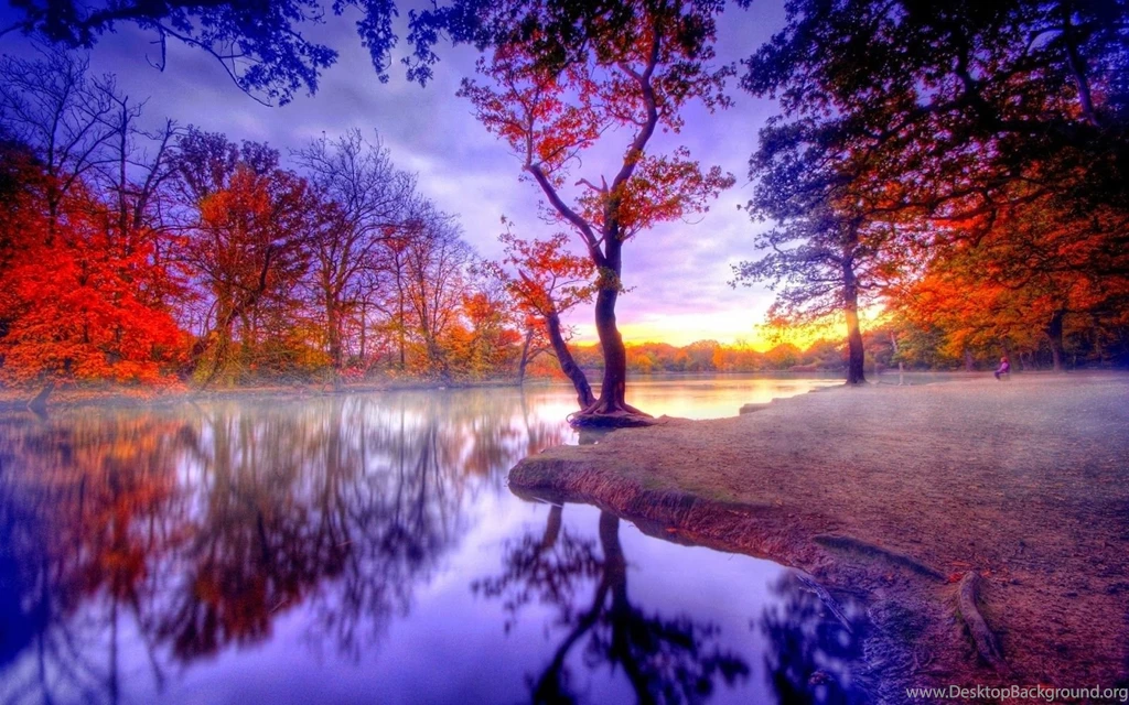 Hd Wallpapers Download