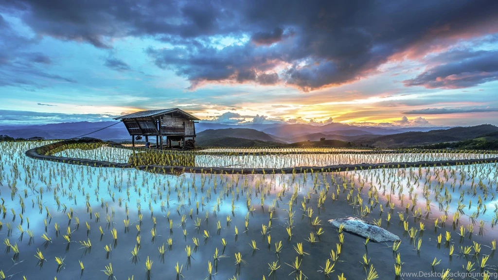 Microsoft Windows 10 Full HD Stock Wallpapers [PC/Mobile] • Dexteroid