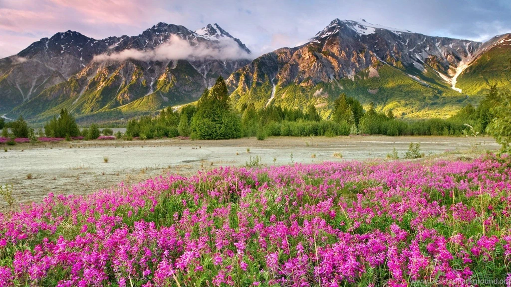 Mountains Landscapes Nature Canada British Columbia Land Pink ...