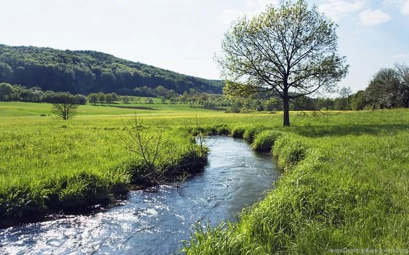 Landscapes Trees Hills Meadow Rivers Free Desktop Backgrounds And ...