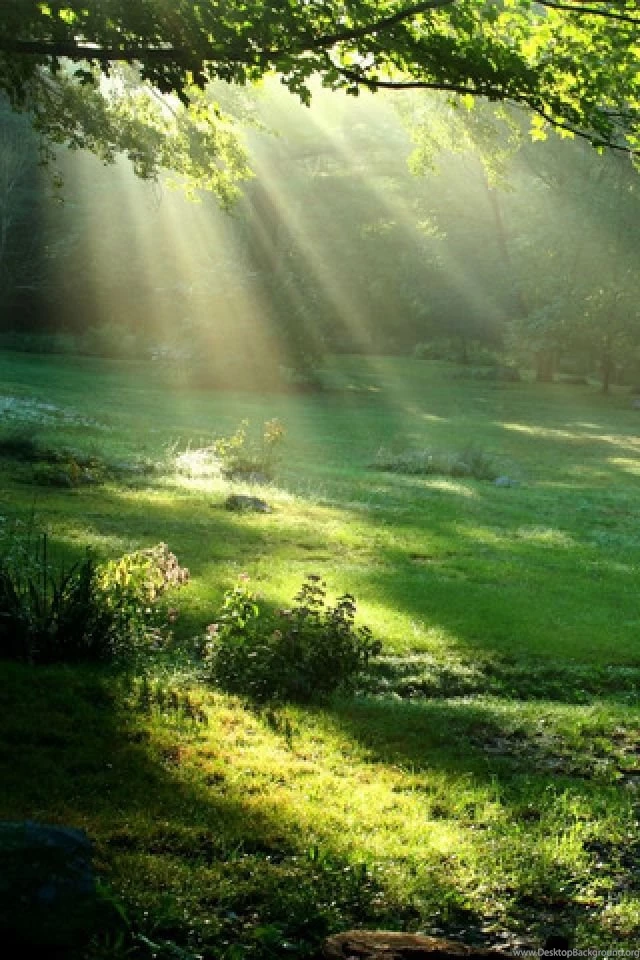 Spectacular Ray Mystery Free Iphone Wallpapers Hd