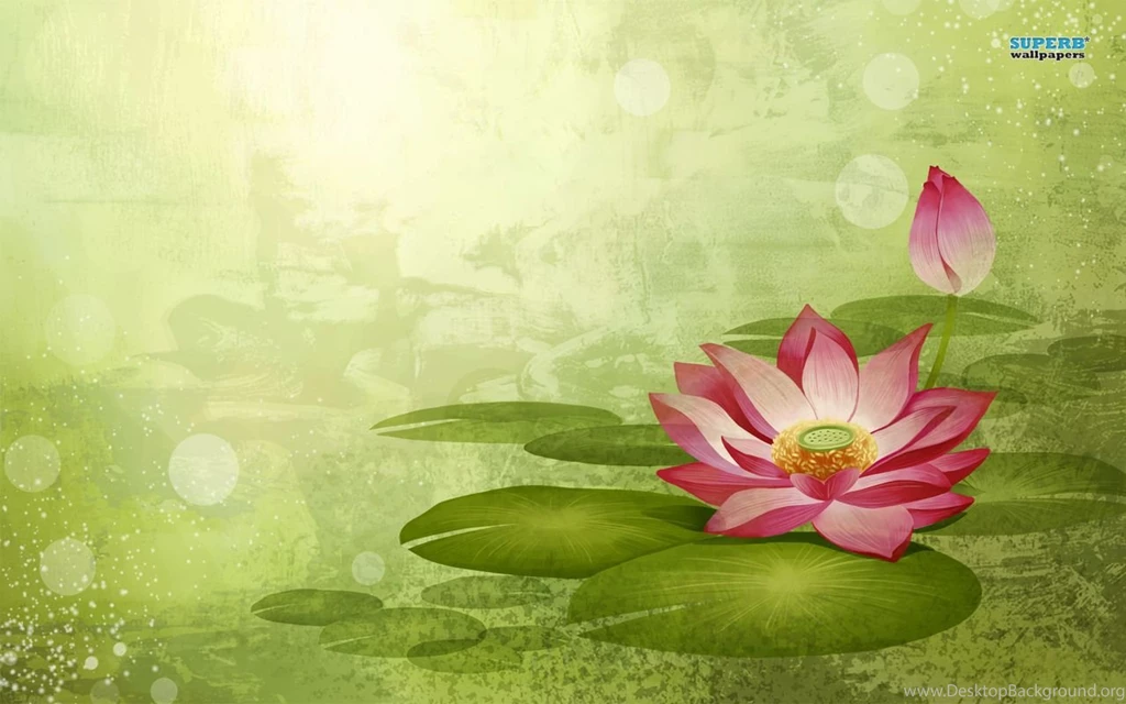 Water Lily Wallpapers Artistic Wallpapers