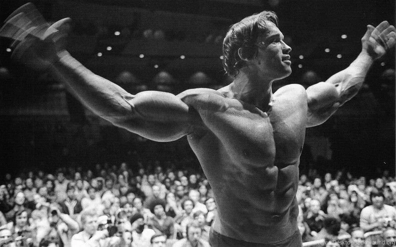 Arnold Schwarzenegger Mr Olympia Wallpapers Free Desktop ...