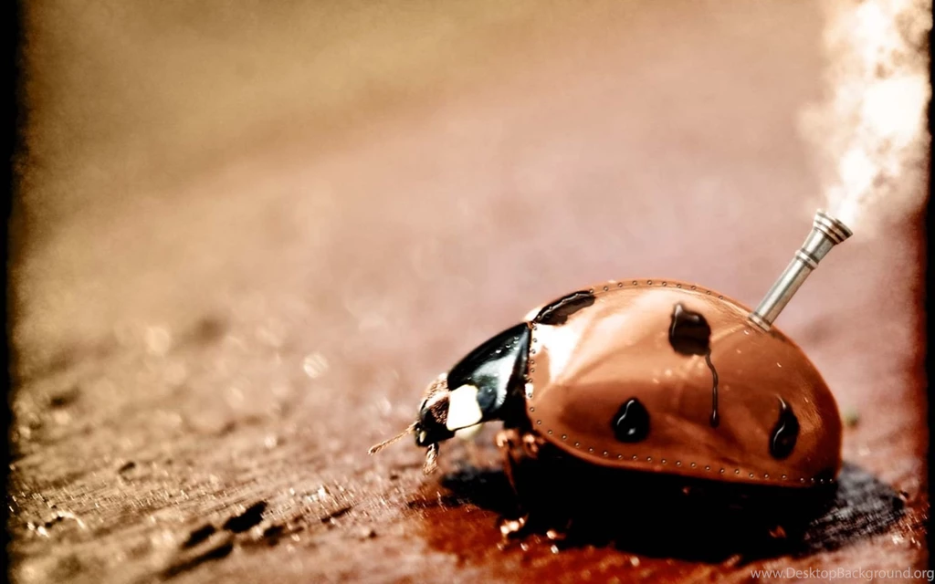 Download Backgroundresearcheritt Steampunk Wallpapers 1280x800 ...