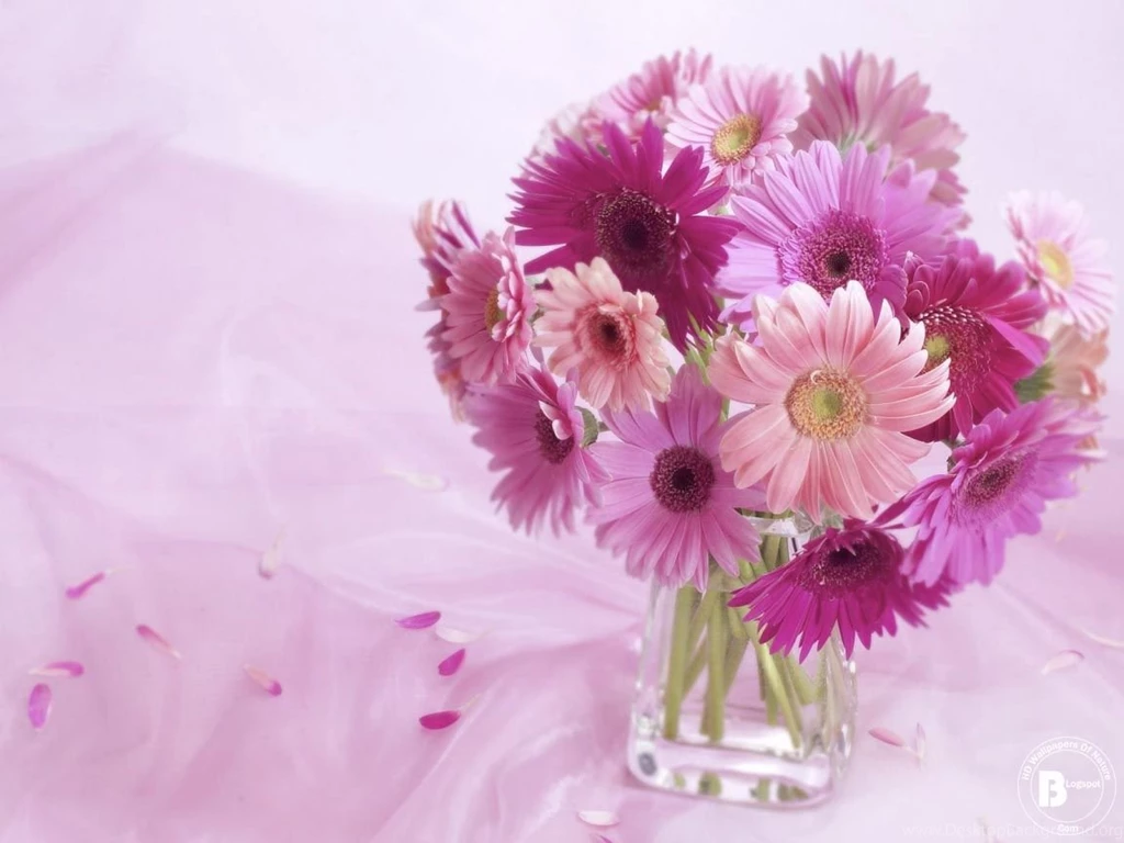 HD Flower Wallpapers For PC