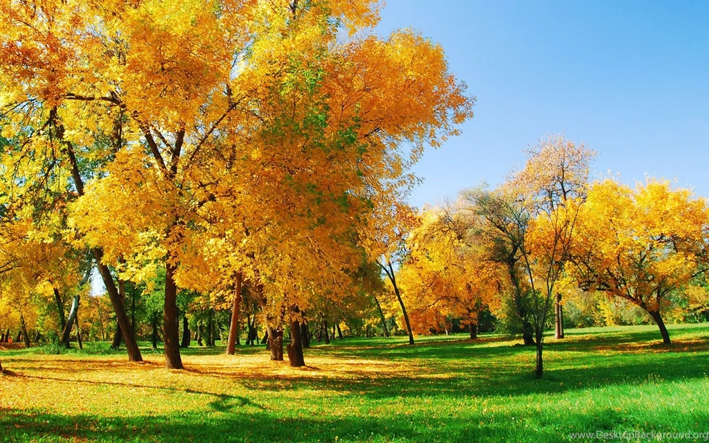 PC Desktop HD Wallpapers HD Images New