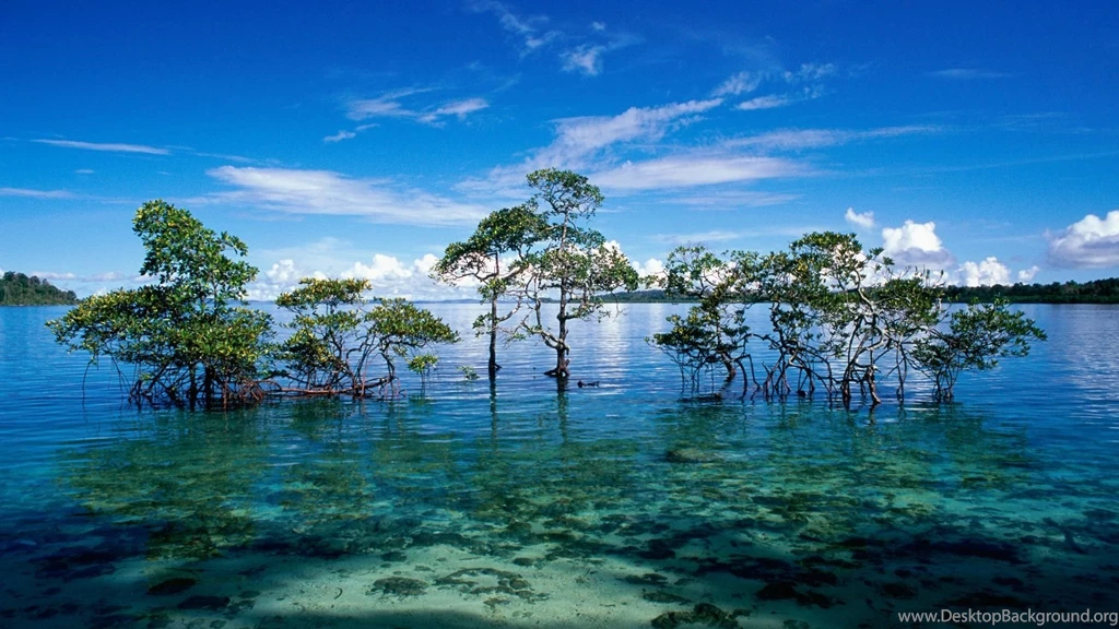 PC Wallpapers Nature Cool