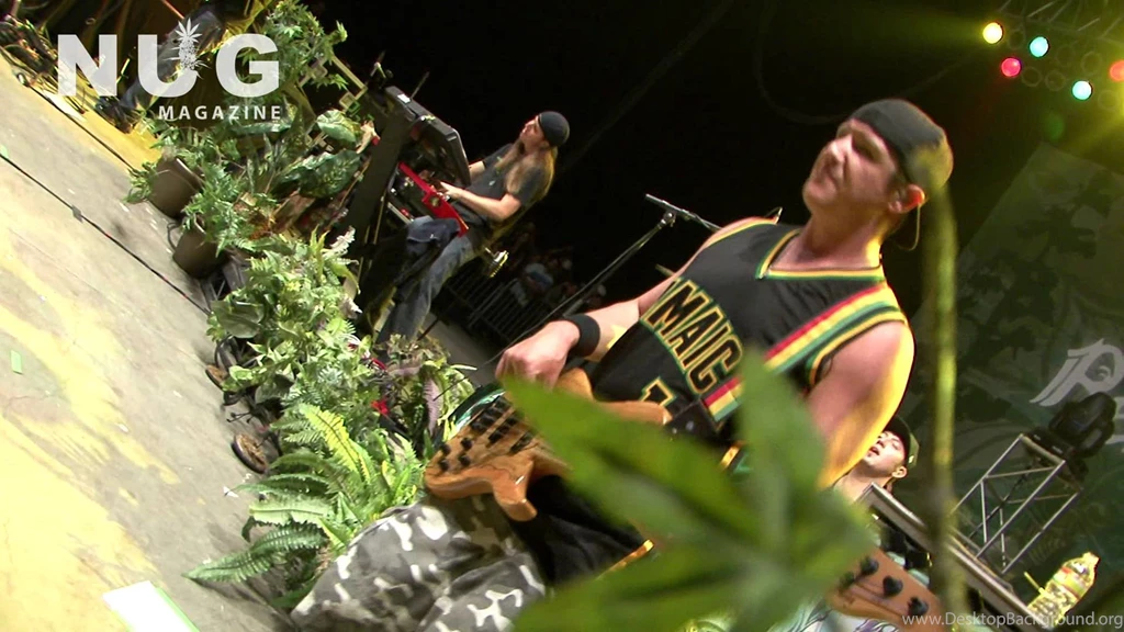 Slightly Stoopid Seedless Summer Tour With Rebelution