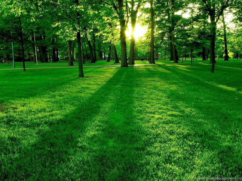 Desktop Backgrounds Wallpapers 153051