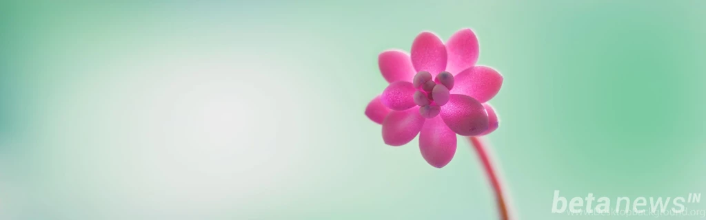 Windows 10 Wallpapers 3840x1200.jpg