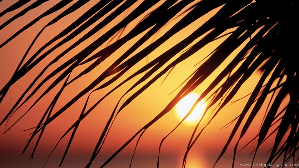 Jamaica Wallpapers >> Backgrounds With Quality HD