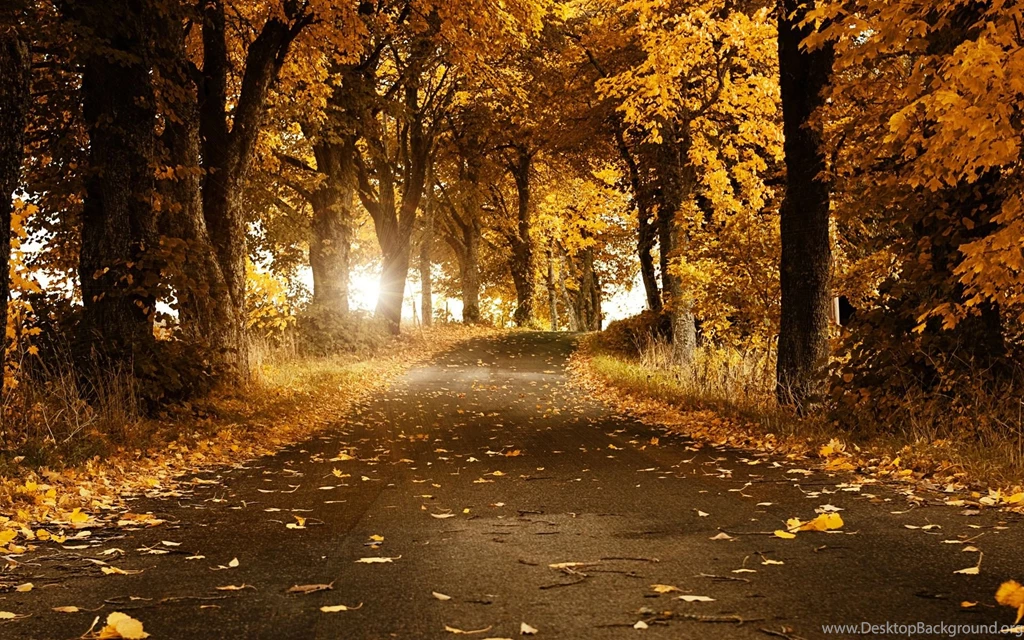 Www.intrawallpaper.com HD Backgrounds Page 1